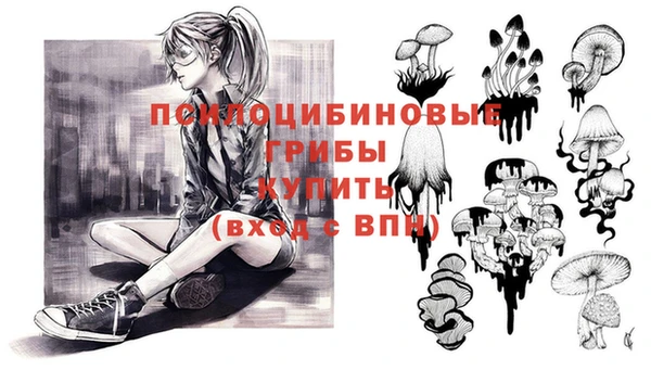 мяу мяу кристалл Арсеньев