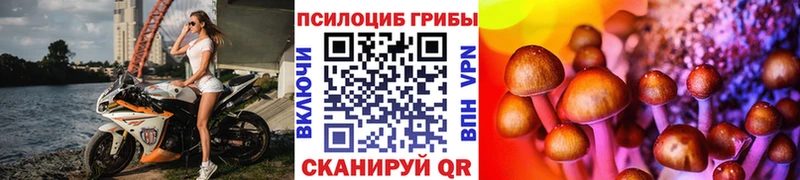 Псилоцибиновые грибы Magic Shrooms  Нарьян-Мар 